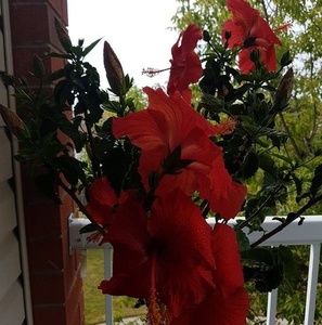 Meet your Posher, Richard